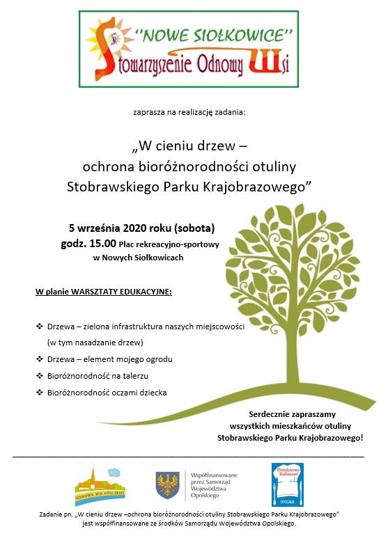 Plakat 41